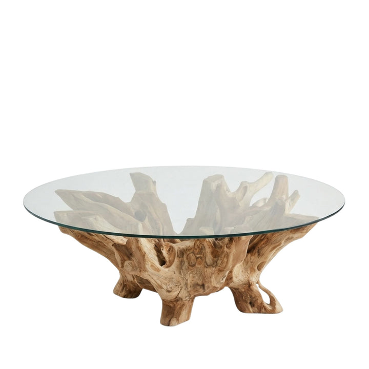 Front view of 140cm Bintan Teak Root Coffee Table showing the organic root structure beneath the tempered glass.