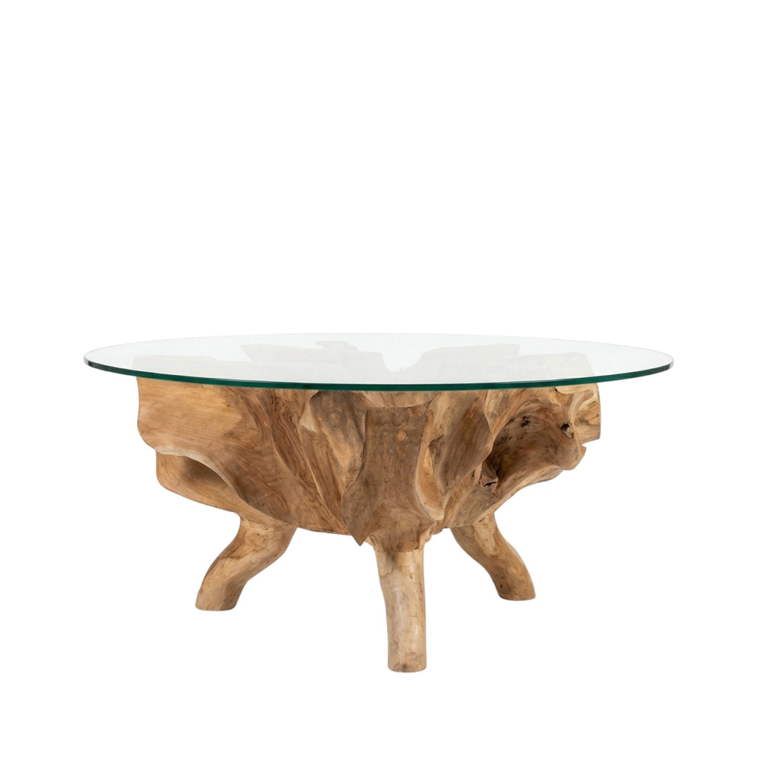 Side view of Bintan Teak Root Coffee Table emphasizing the transparency of the glass surface.