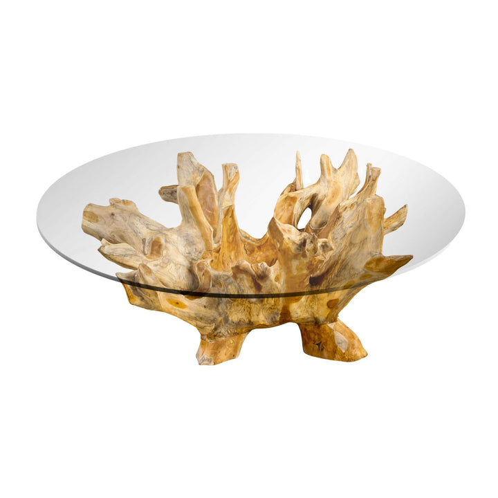 Close-up of teak root base and tempered glass surface.