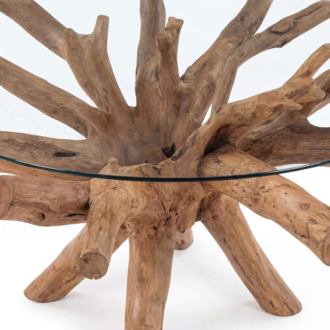 Close-up detail of the teak root base supporting the glass tabletop.