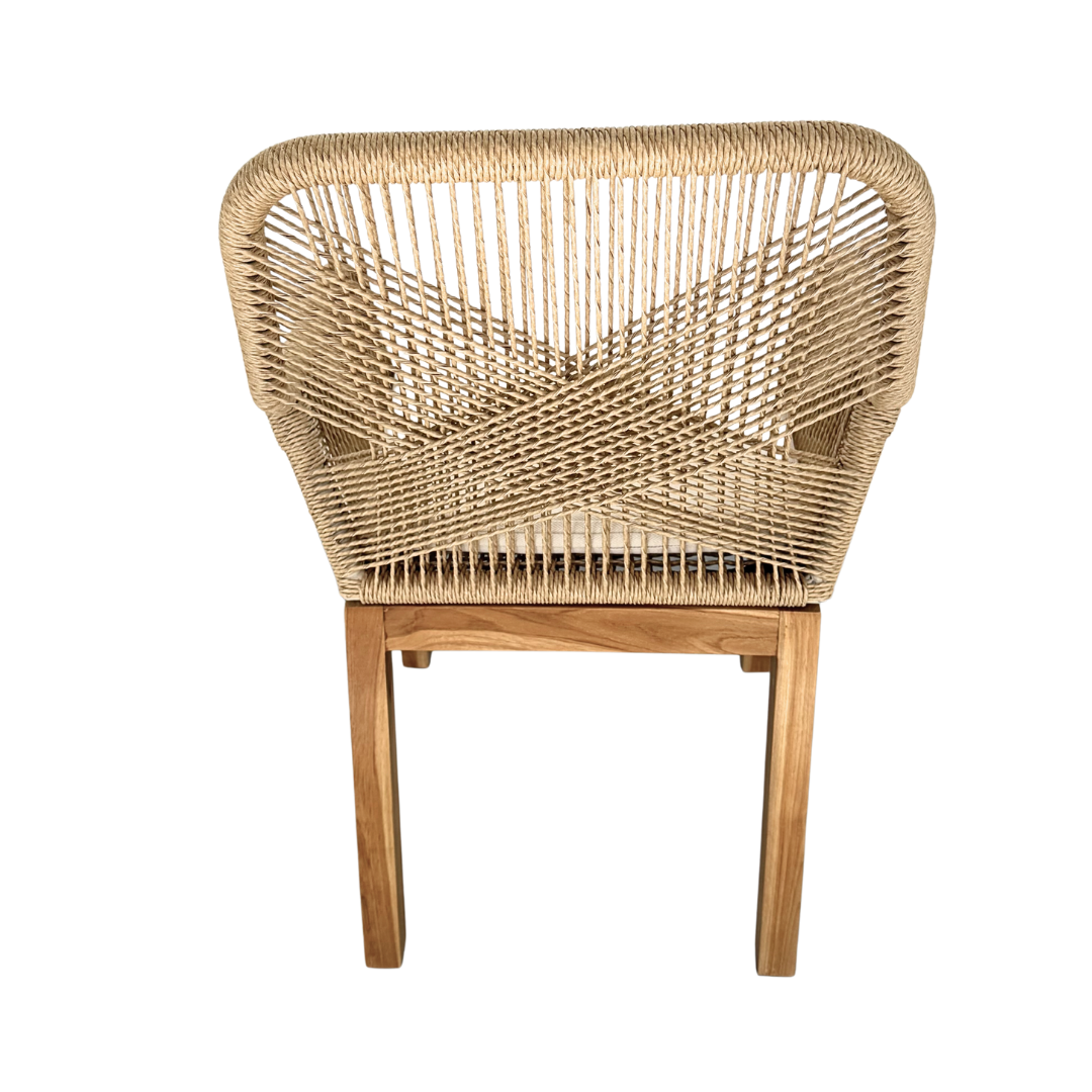 Biyadhoo Dining Chair with armrests, back view