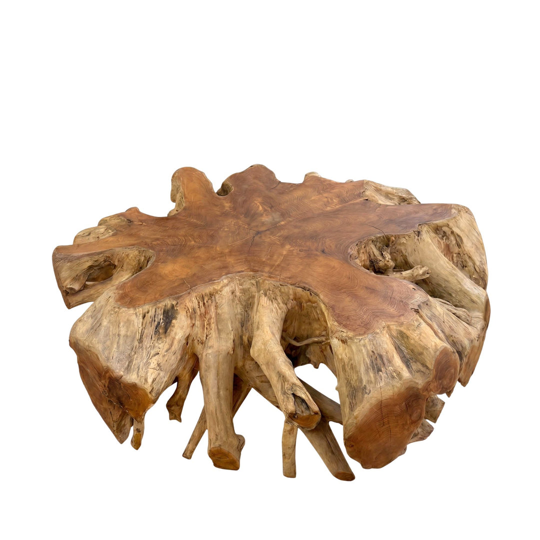 Front view of the Canggu round coffee table showing its sculptural teak root base and organic natural form.