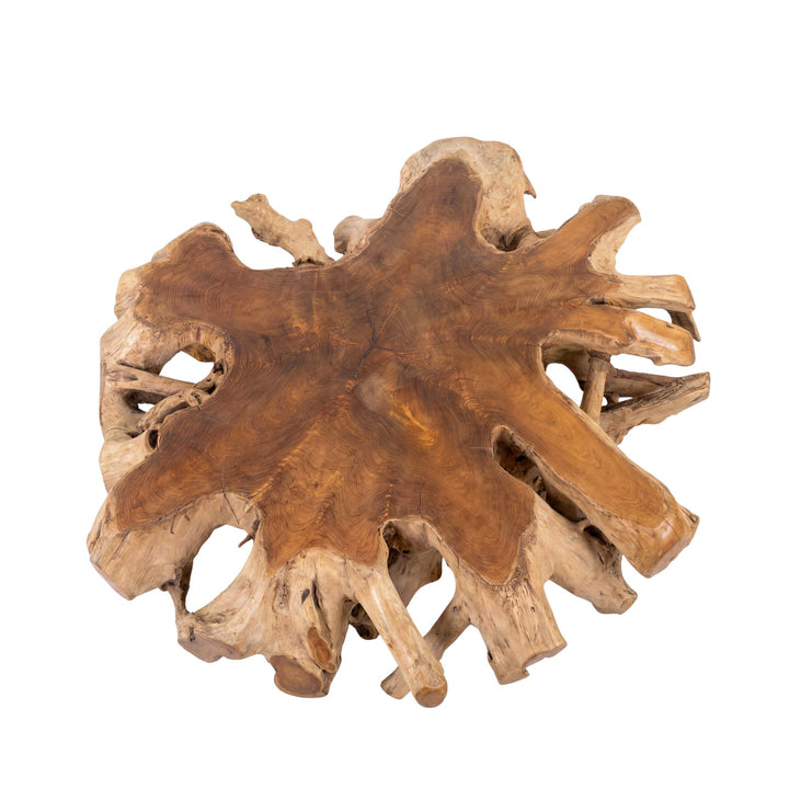 Top view of the round teak root table highlighting its irregular organic shape and rich wood texture.