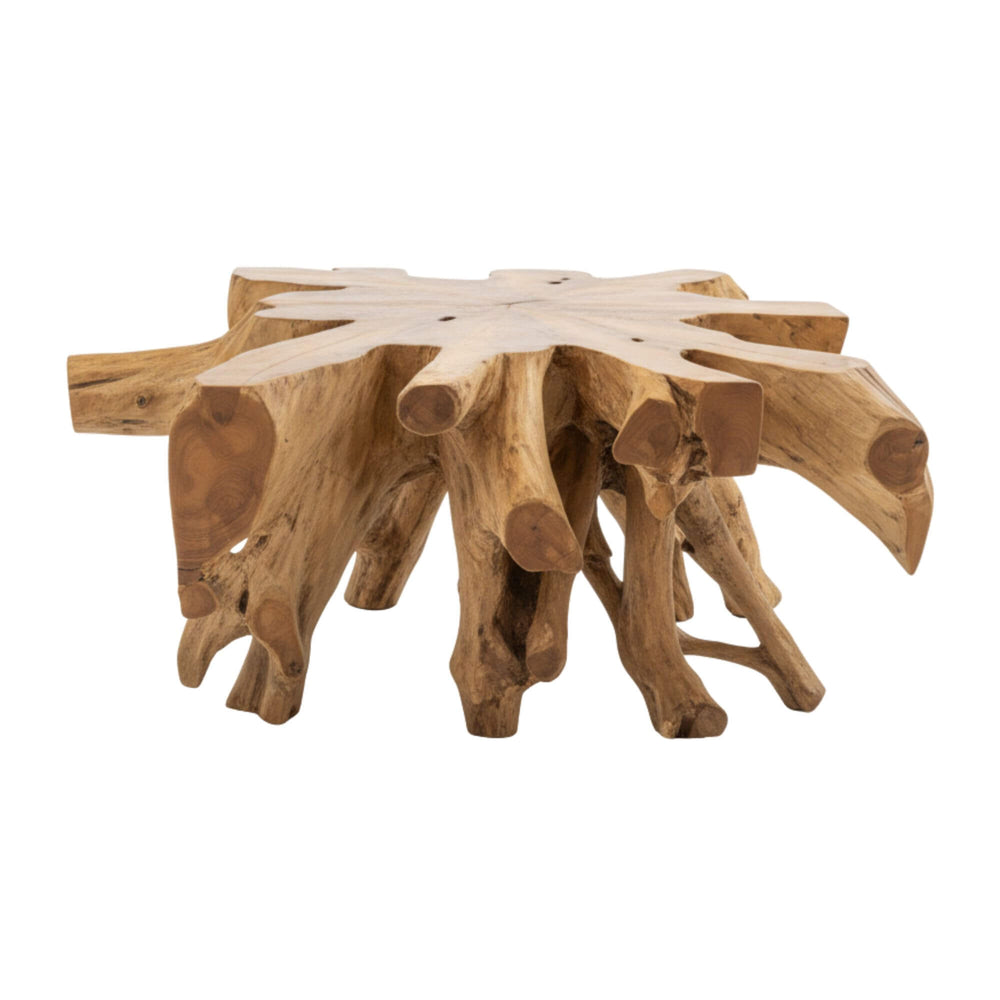 Front view of Canggu Teak Root Coffee Table in natural wood finish.