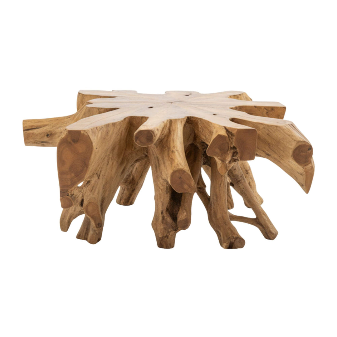 Front view of Canggu Teak Root Coffee Table in natural wood finish.