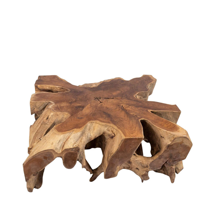 Front side view of the table highlighting its solid root base and natural openings.