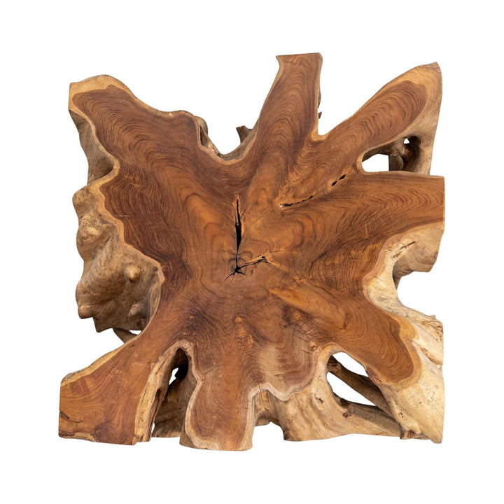 Top view of the teak root table showing its irregular organic shape and rich wood grain.
