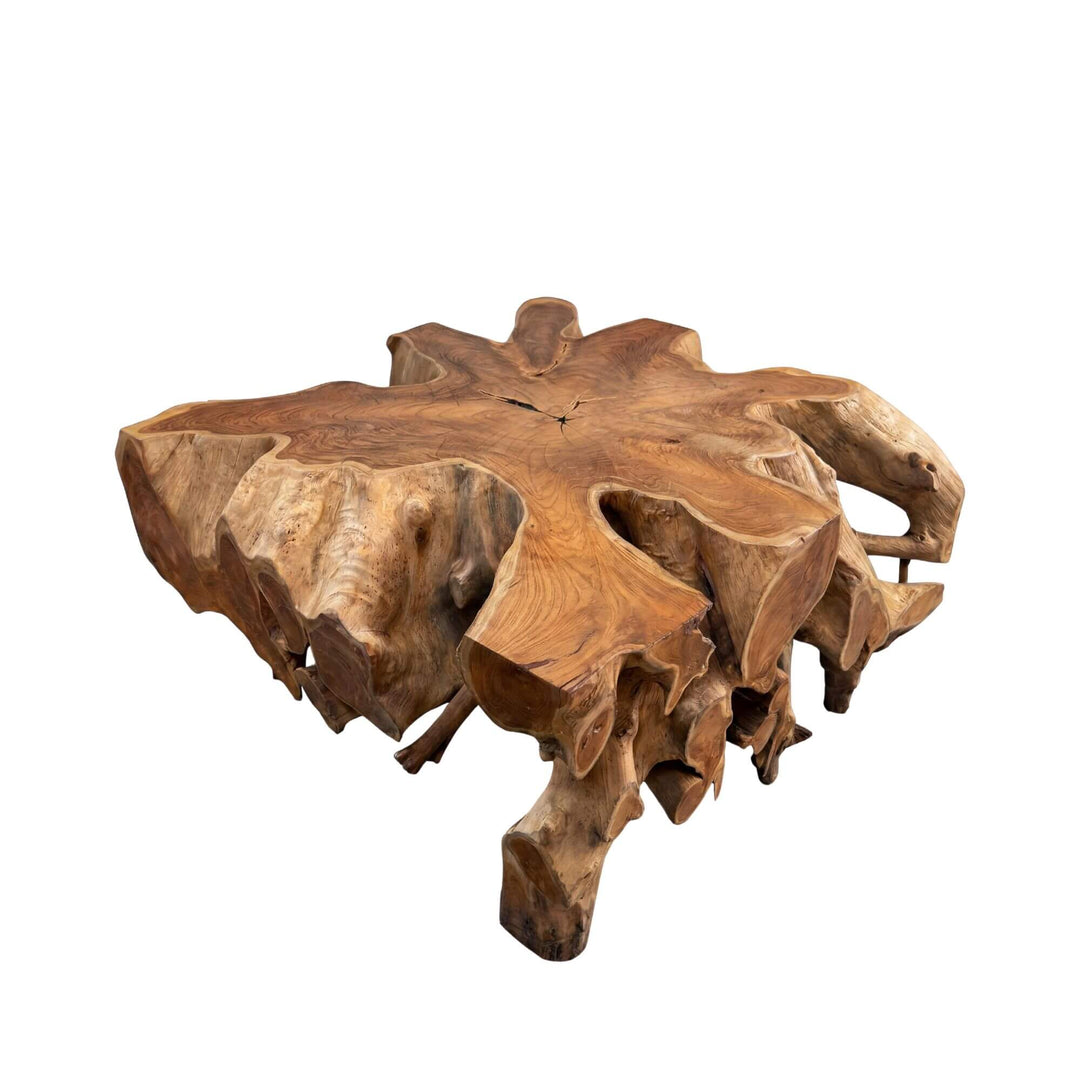Angled view of the coffee table highlighting its open root structure and handcrafted silhouette.