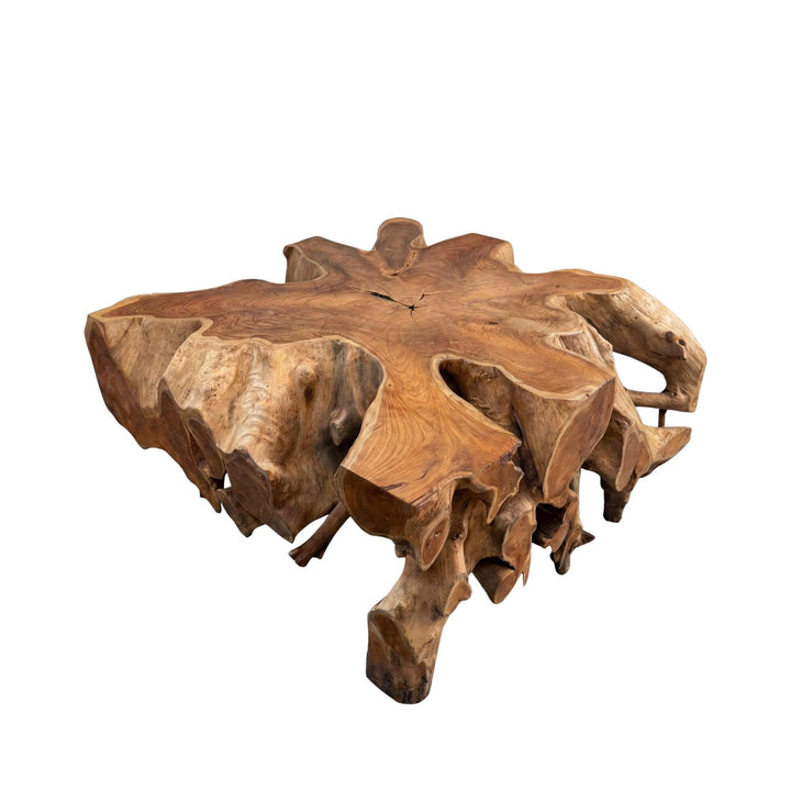 Angled view of the coffee table highlighting its open root structure and handcrafted silhouette.