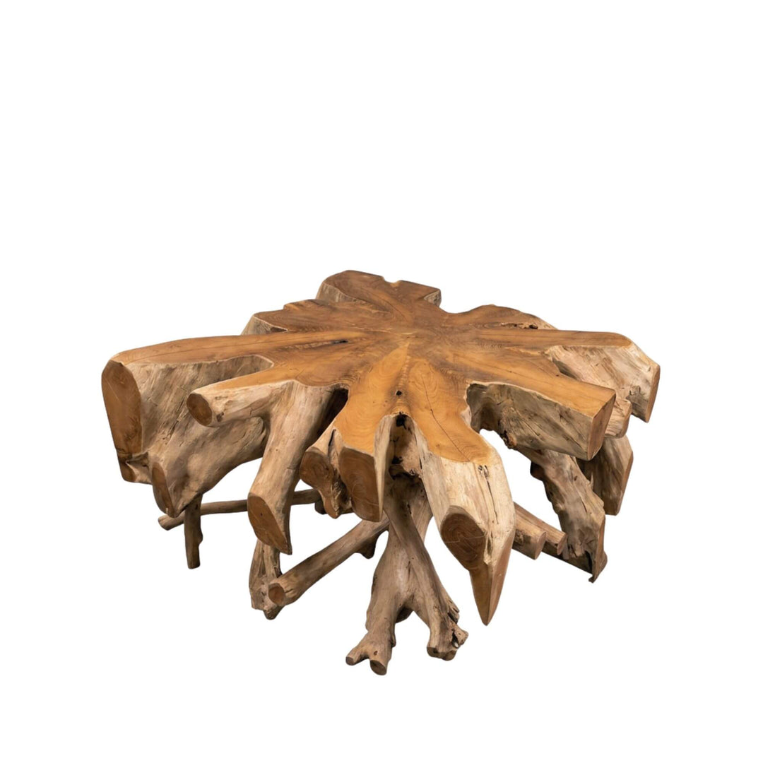 Front view of the smaller Canggu teak root coffee table showing its compact sculptural form.