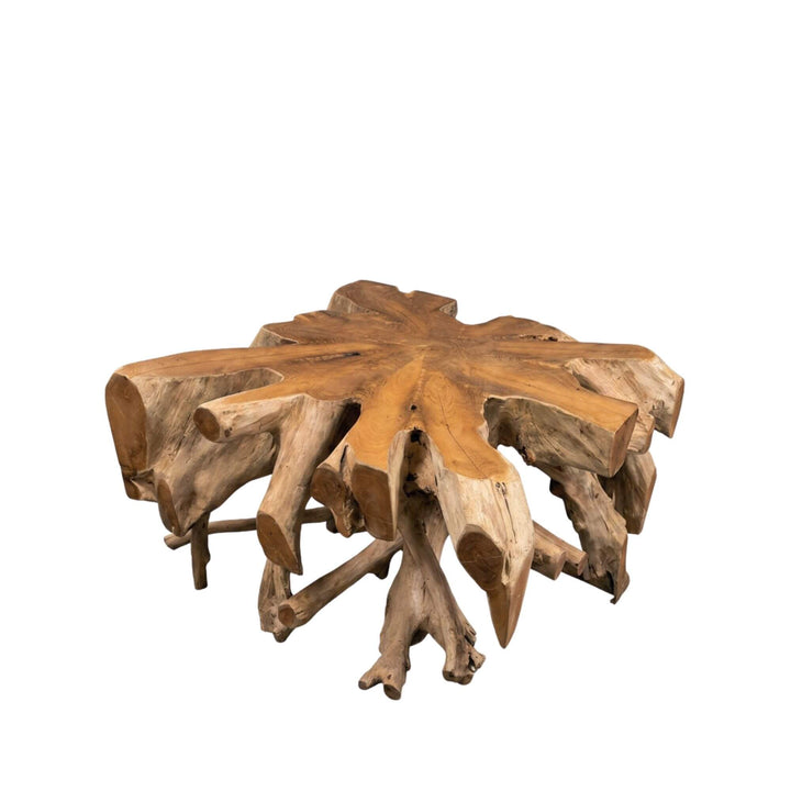 Front view of the smaller Canggu teak root coffee table showing its compact sculptural form.