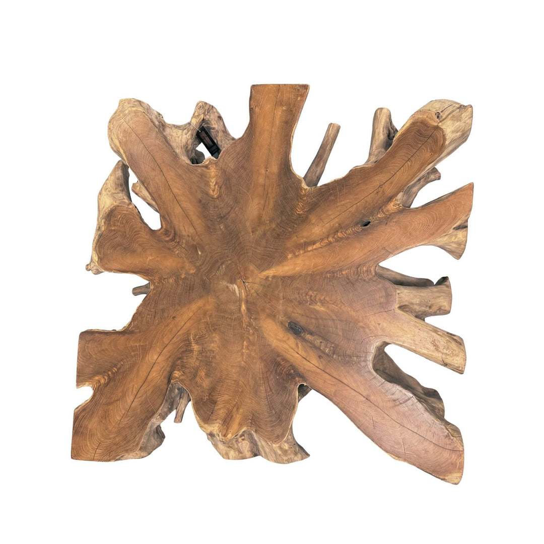 Top view of the smaller teak root table highlighting its star-like organic shape and natural wood variation.