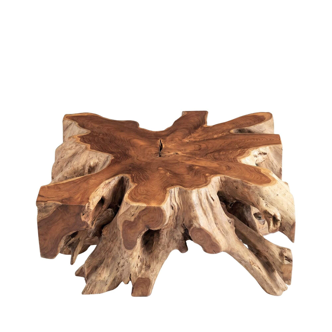 Front view of the Canggu teak root coffee table showing its sculptural organic form and natural wood texture.