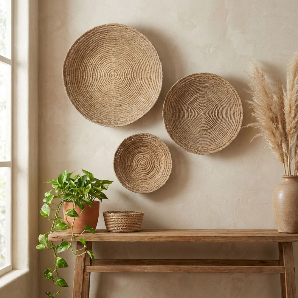 Cannon wall deco plates on a wall above a wooden table with a plant and vase.
