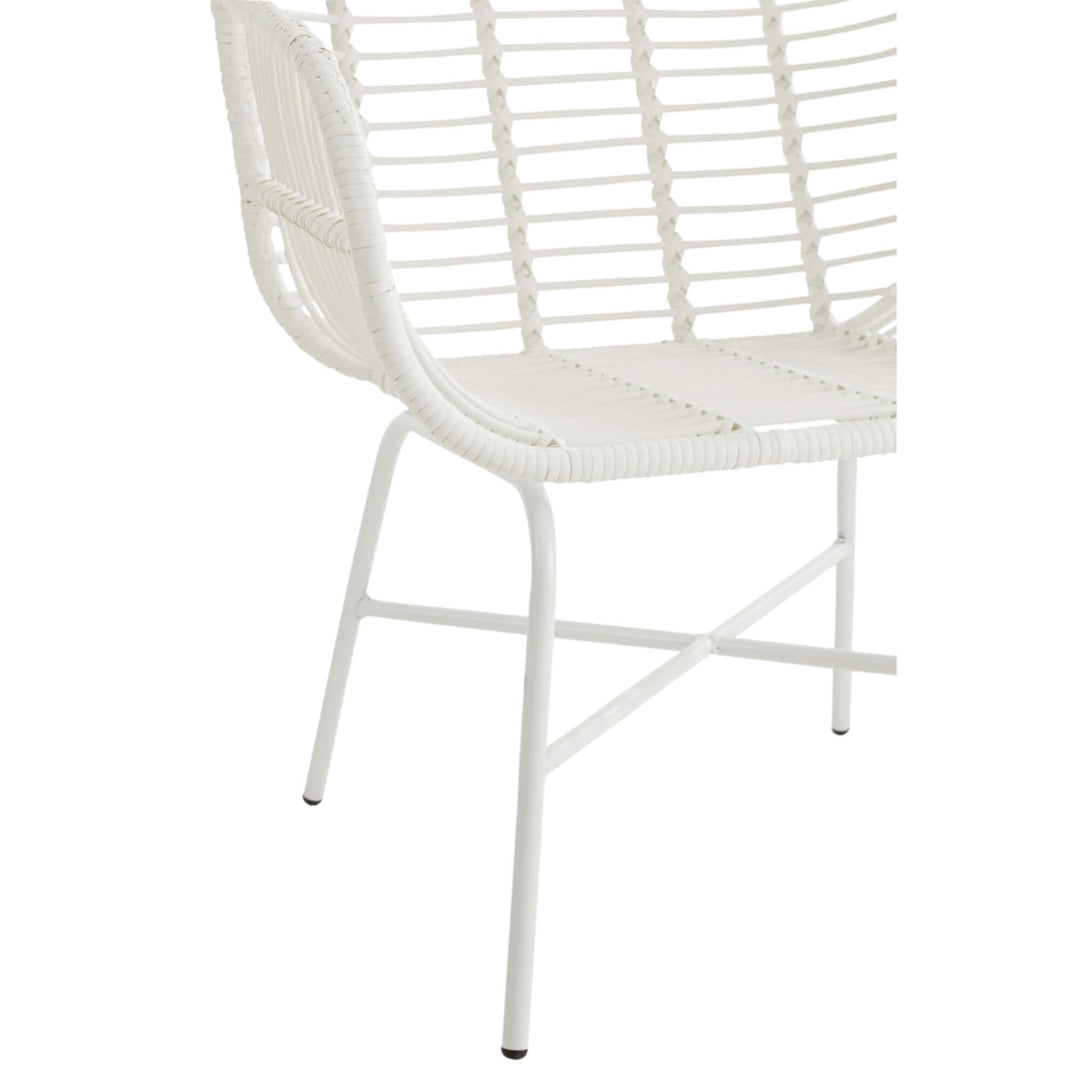 Close-up of cubaguas leg structure