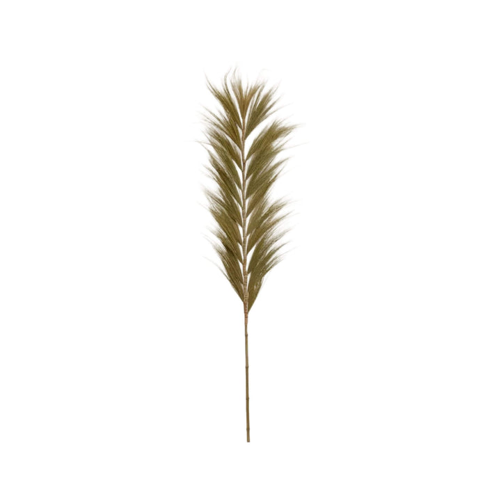 Full-length view of natural decorative palm stem