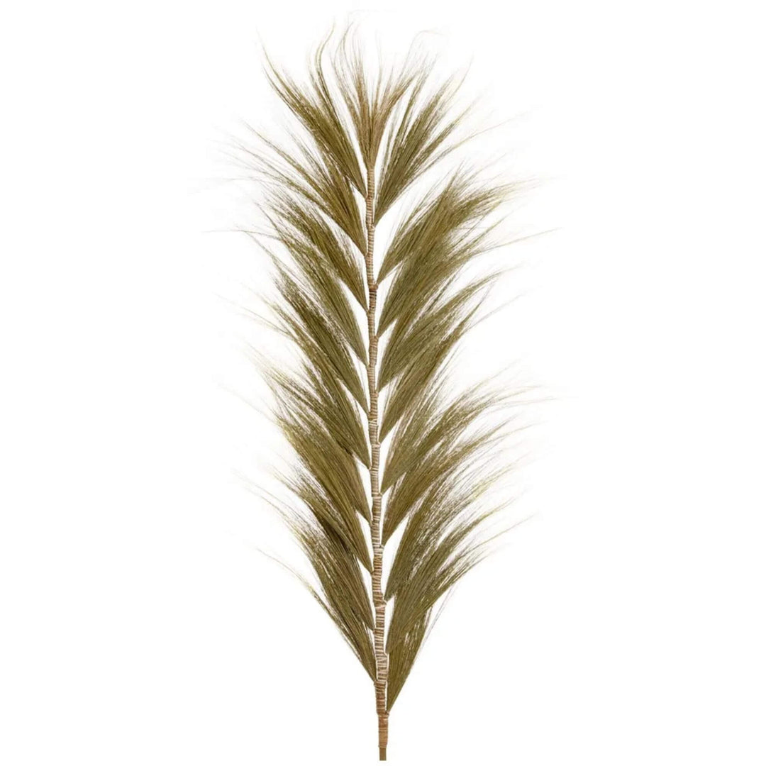 Front view of natural furry palm with soft layered fibers