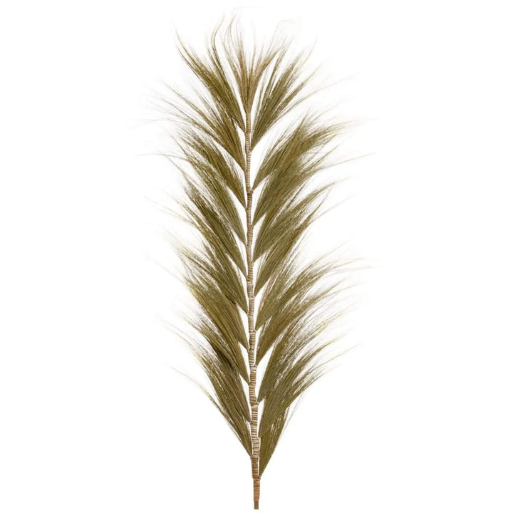 Front view of natural furry palm with soft layered fibers