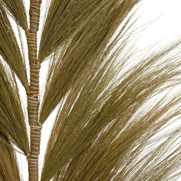 Close-up of organic fibers with airy movement