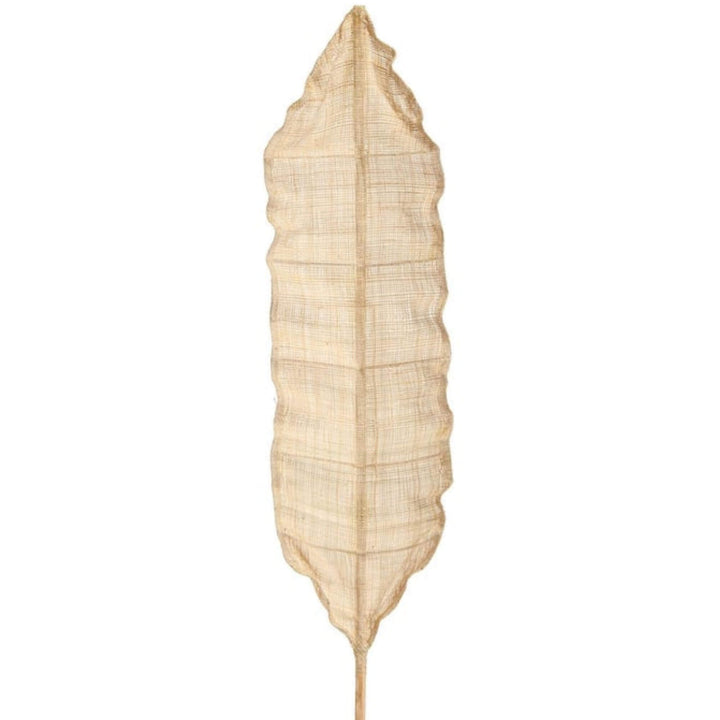 Detail of bamboo stem and wrapped fiber base