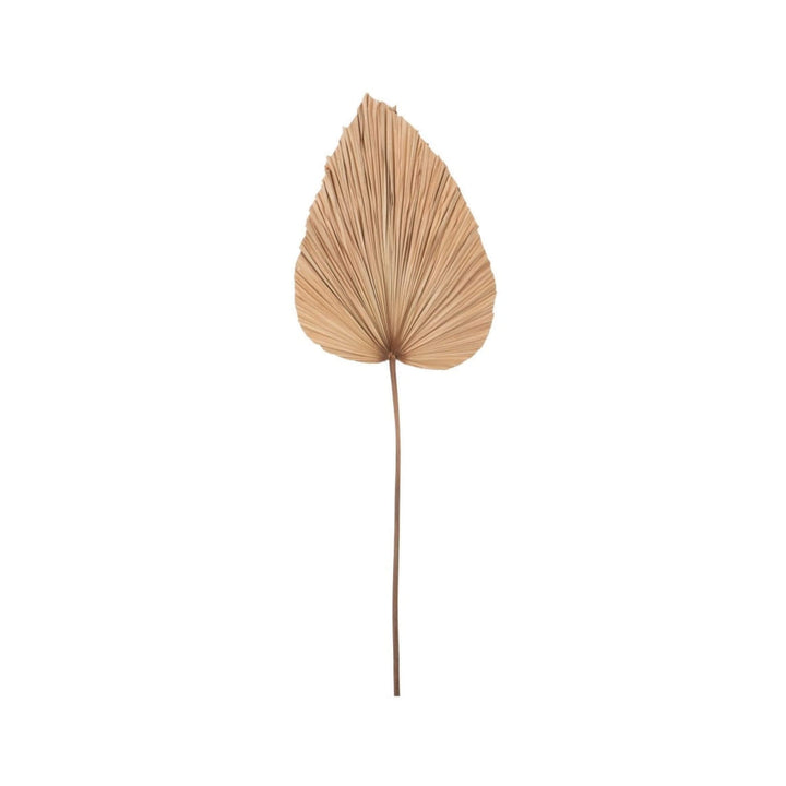 Full-length decorative palm leaf stem in natural tones