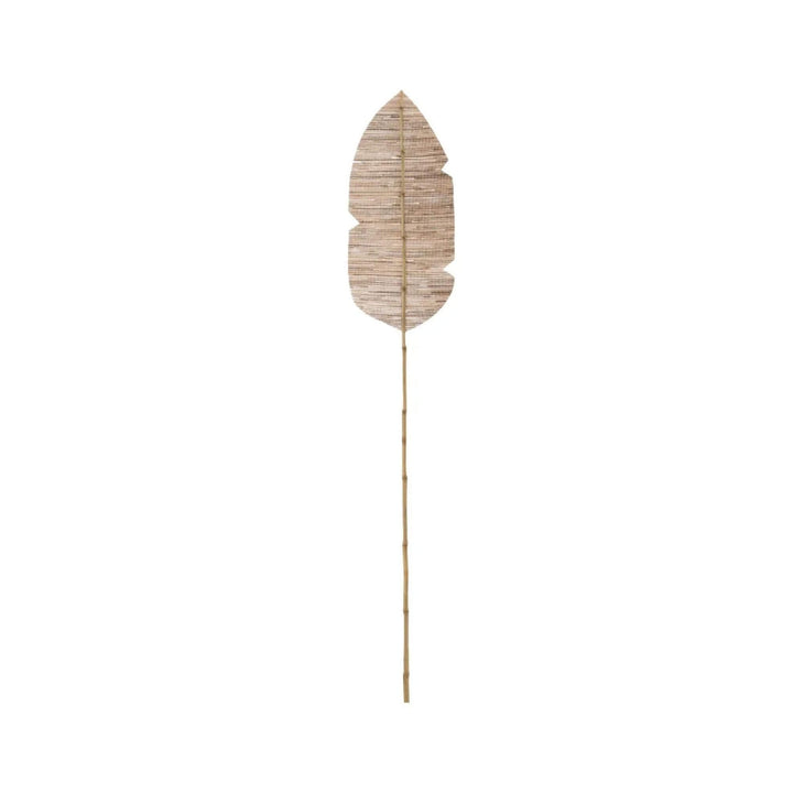 Full-length natural palm leaf with elongated silhouette