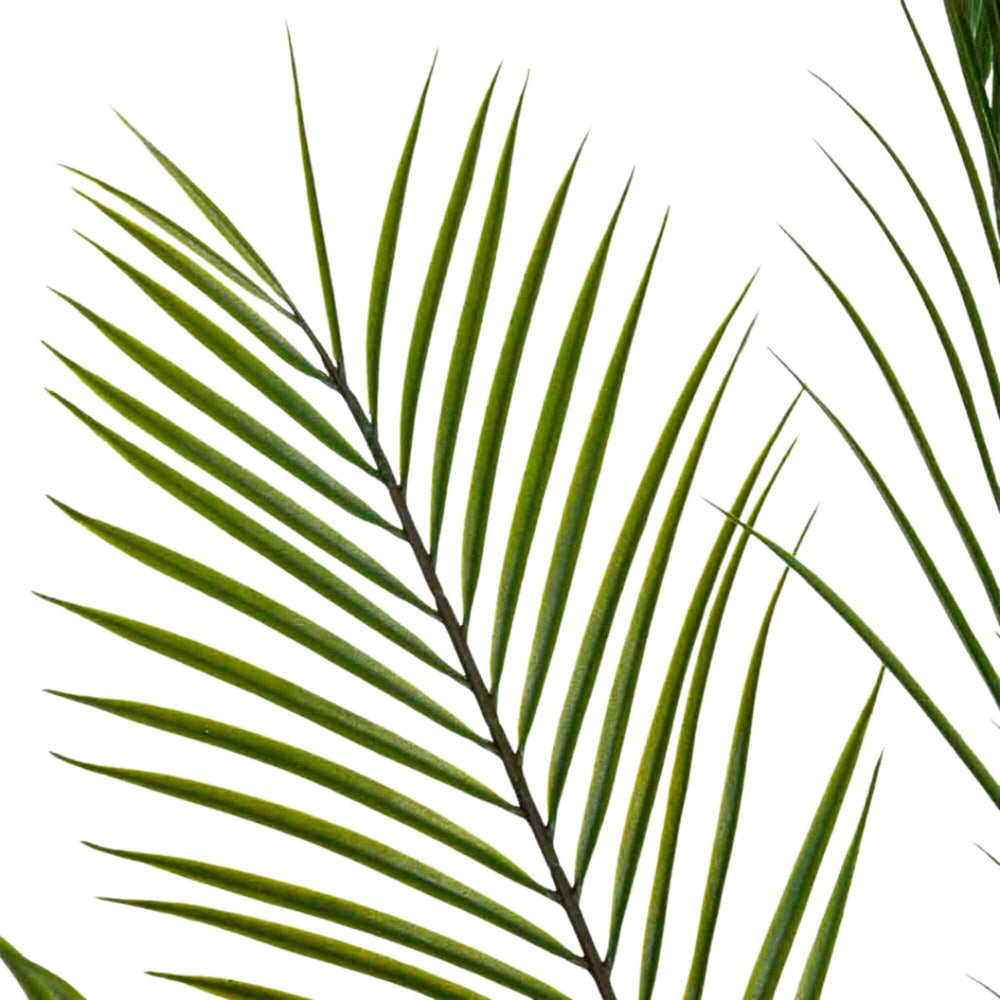 Close-up of realistic palm leaves showcasing fine texture and natural color variation.