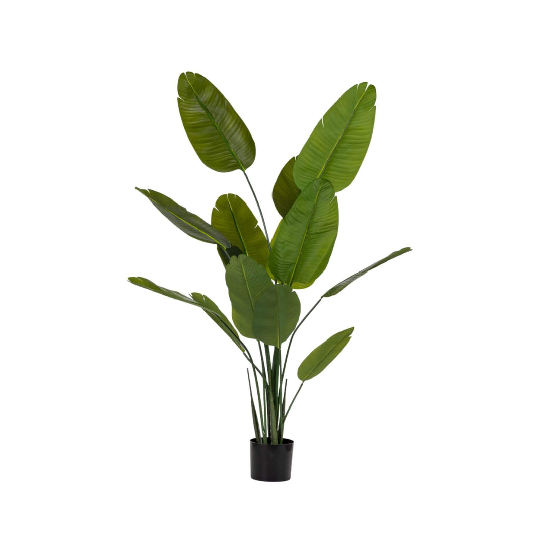 Tall synthetic plant Strelitzia with sculptural foliage