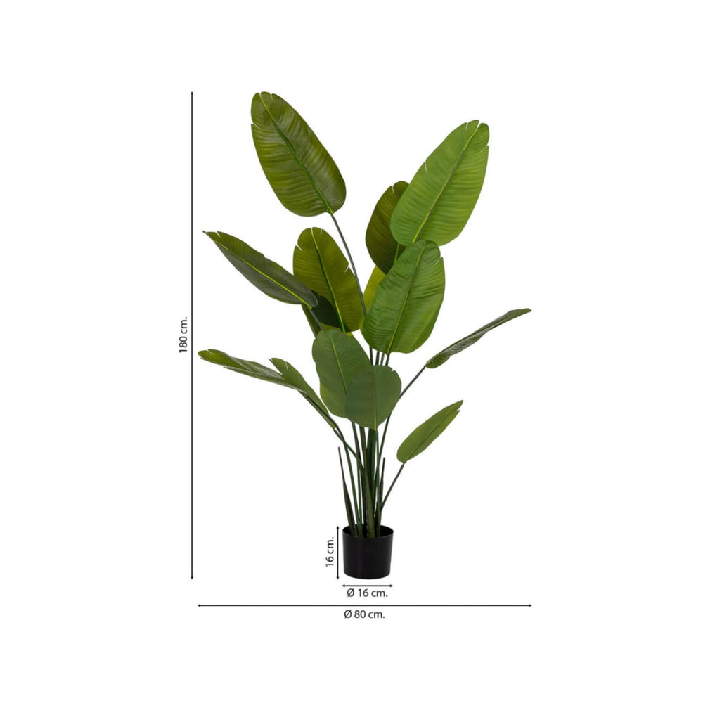 Synthetic Strelitzia plant with tall green leaves in black pot highlighting its 180 cm height and wide leaf spread.