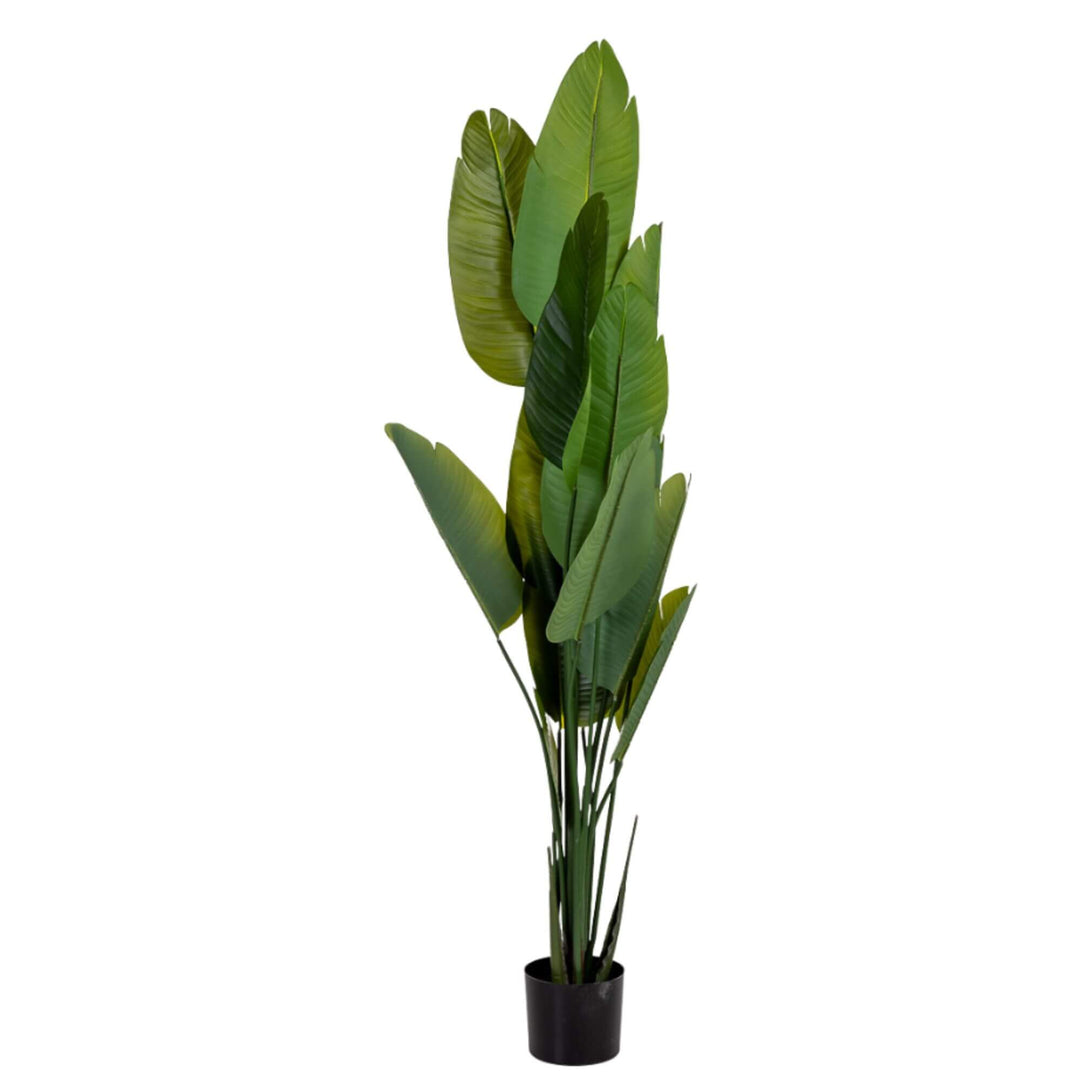 Folded Decorative artificial Strelitzia plant full view