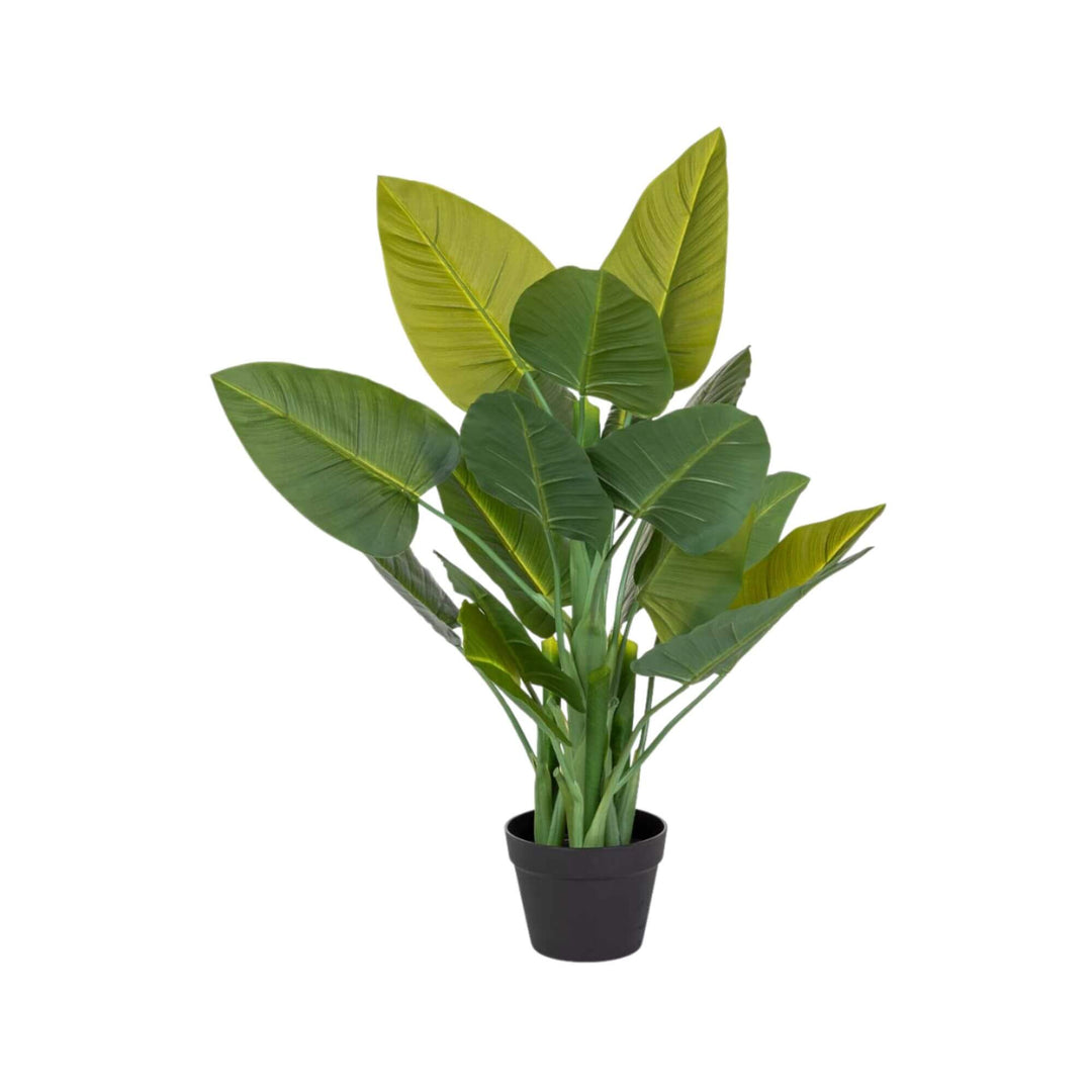 Full view of Deco Synthetic Plant Succulent with dense green leaves in black pot