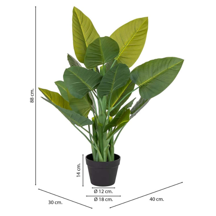 Deco Synthetic Plant Succulent dimensions graphic showing 40 cm width, 30 cm depth, 88 cm height