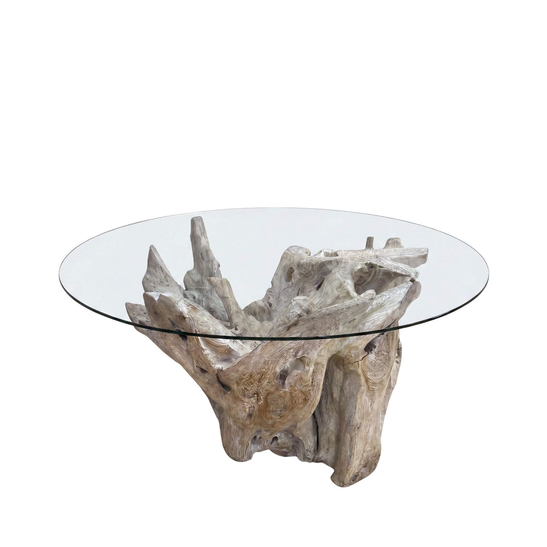 Front view of the Denpasar dining table showing its sculptural teak root base and round tempered glass top.