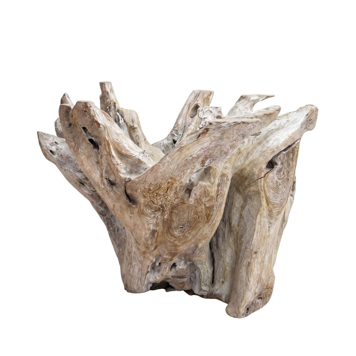 Front angled view of the teak root base highlighting its organic natural shape and handcrafted character.