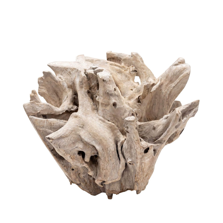 Close-up detail of the teak root showing its weathered texture and natural wood variation.