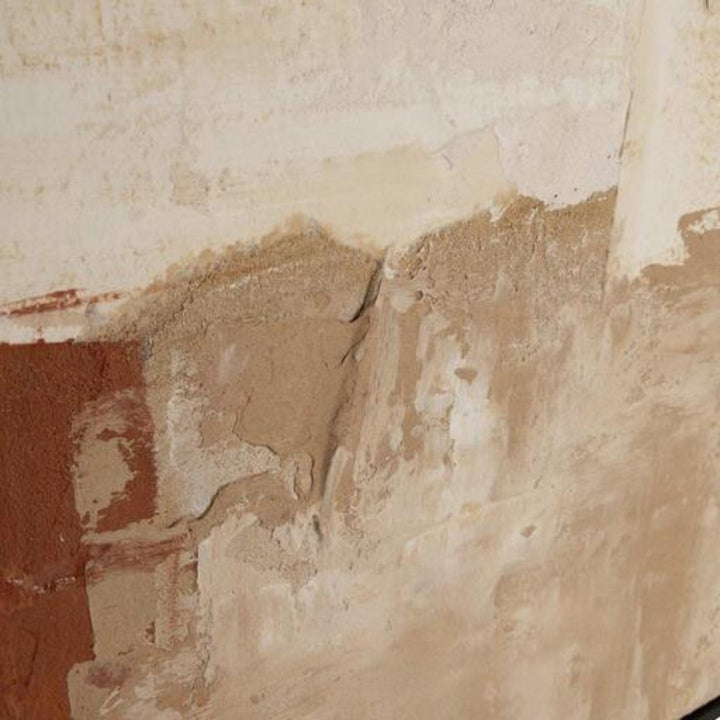 Close-up of the layered brushwork in sand and terracotta tones.