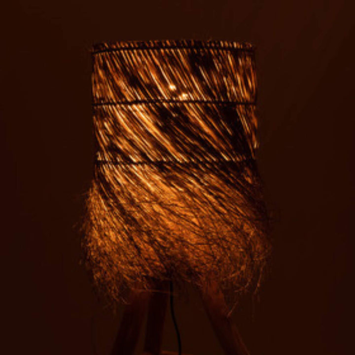 Fury table lamp illuminated in a dark room