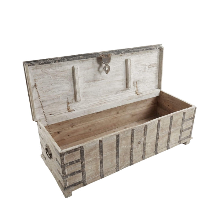 GIANG TRUNK | 169X49X51CM