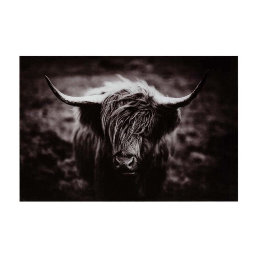 Black and white wall art depicting a highland bull printed on tempered glass with aluminum frame.