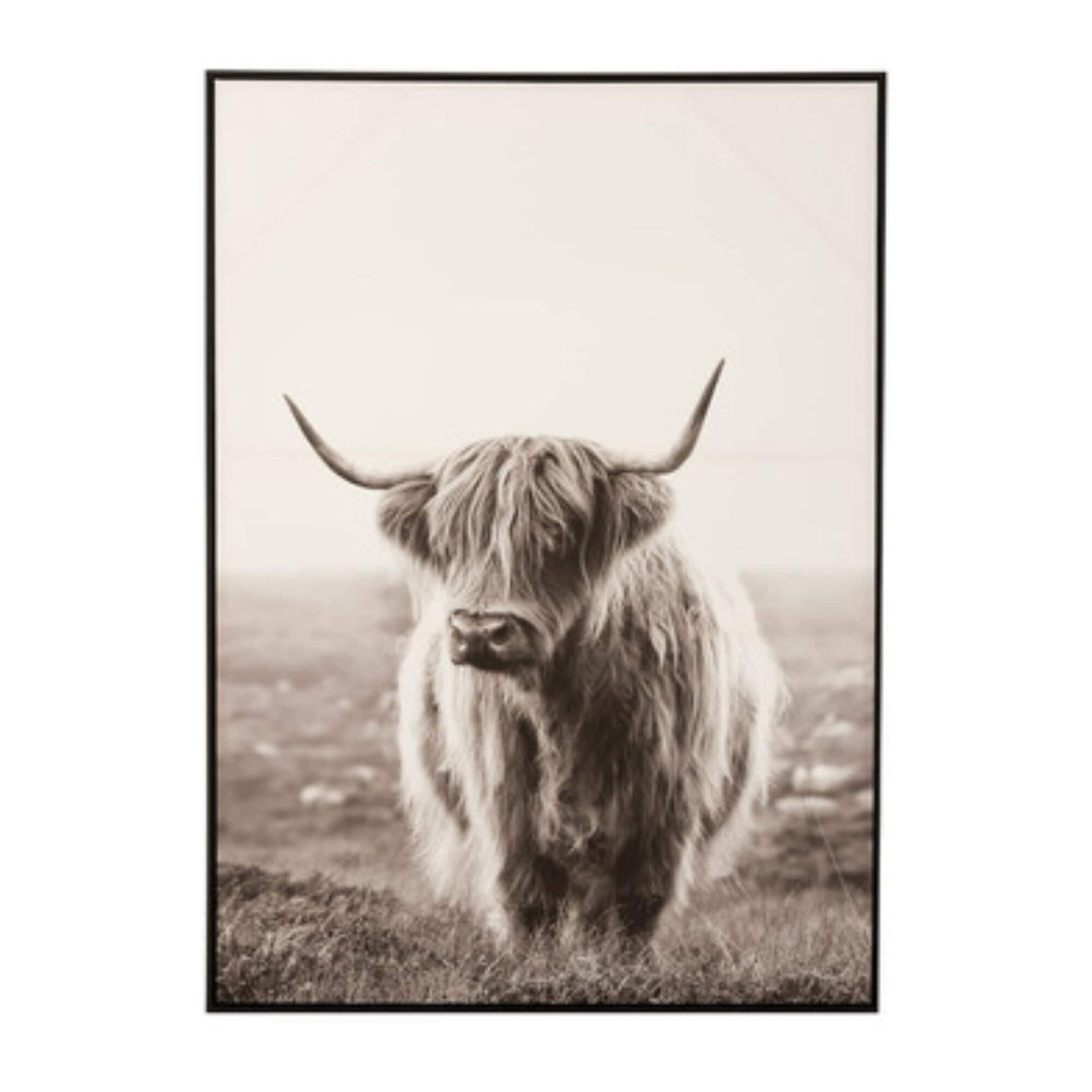 Black and white highland cow wall art on canvas with black wooden frame.