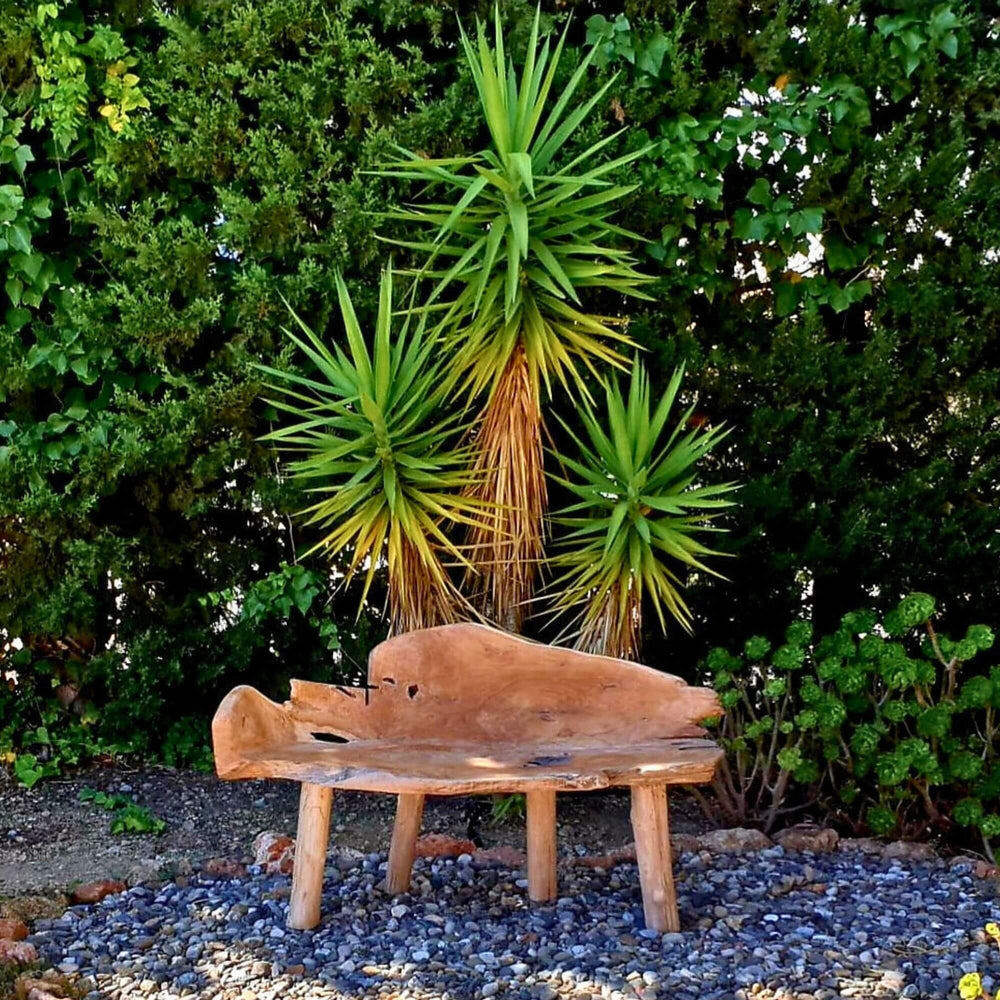 ISHA TEAK ROOT WOOD BENCH in a garden setting with greenery