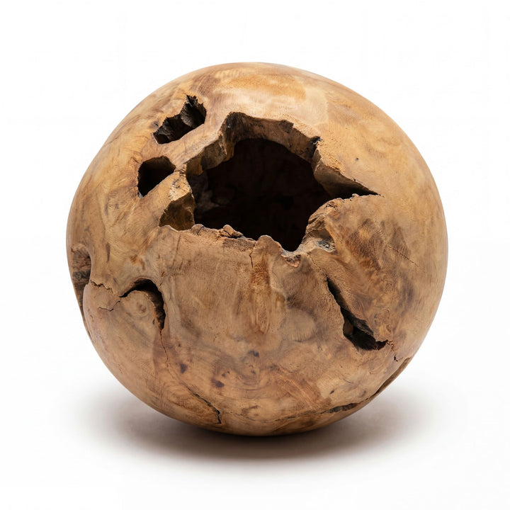 Close-up detail of the teak root texture and sculptural form.