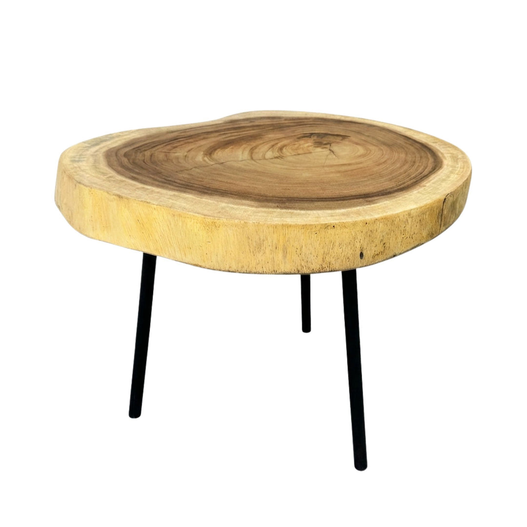 Lio suar wood side table in white background