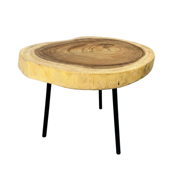 Lio suar wood side table in white background