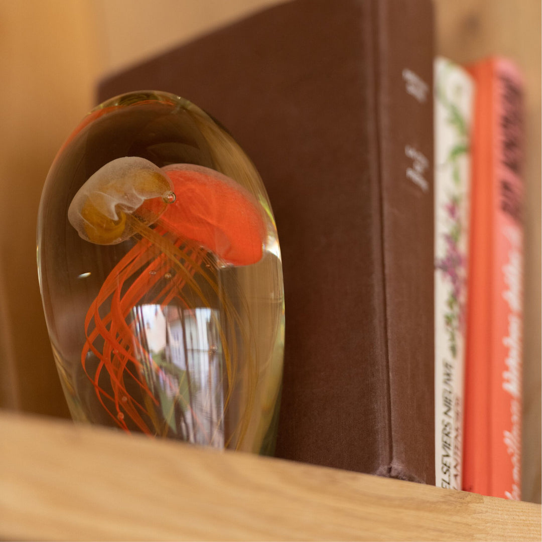 Medusa glass sunrise piece styled on a shelf between books.