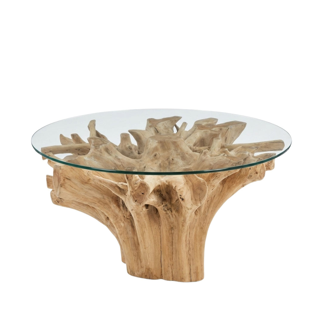 Mur teak root dining table with natural wood base on a white background