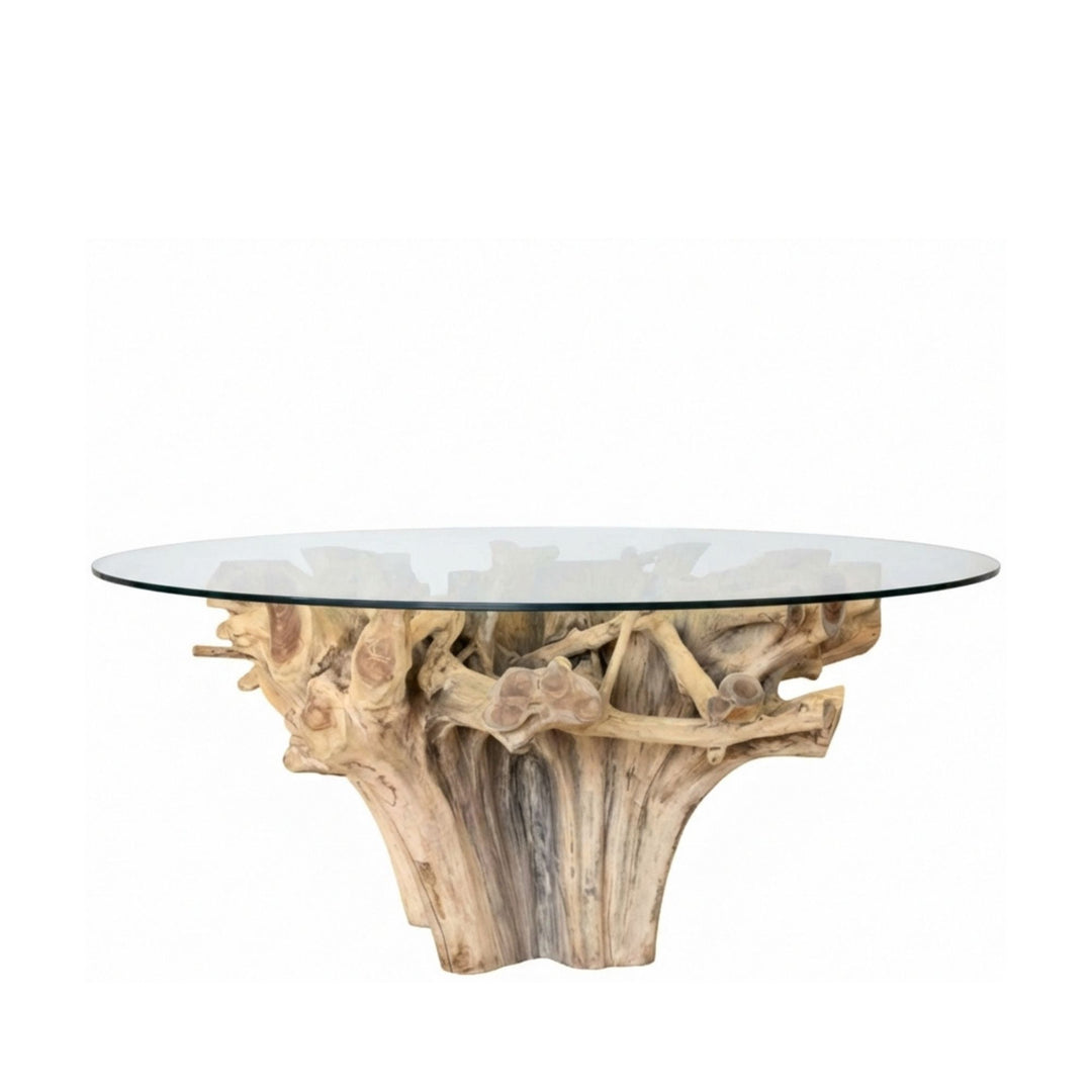 Glass Mur teak root dining table with natural wood base on a white background