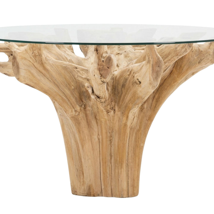 Close up of Mur teak root dining table with natural wood base on a white background