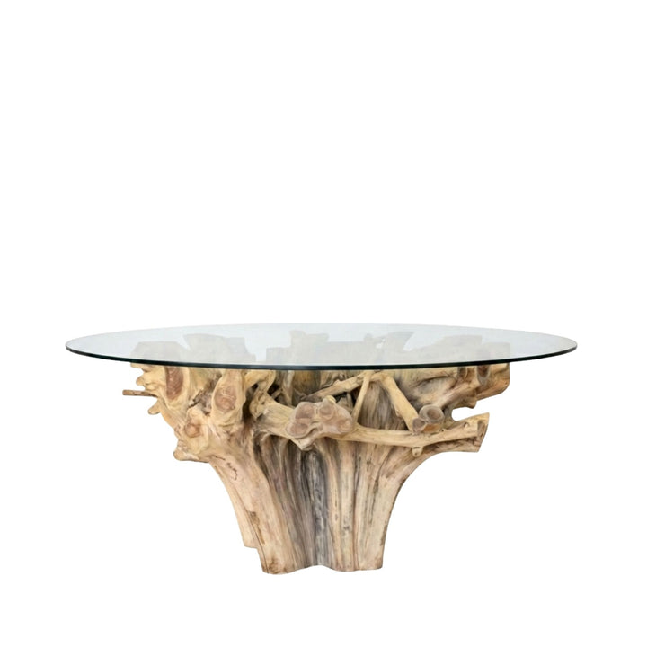 Glass Mur teak root dining table with natural wood base on a white background