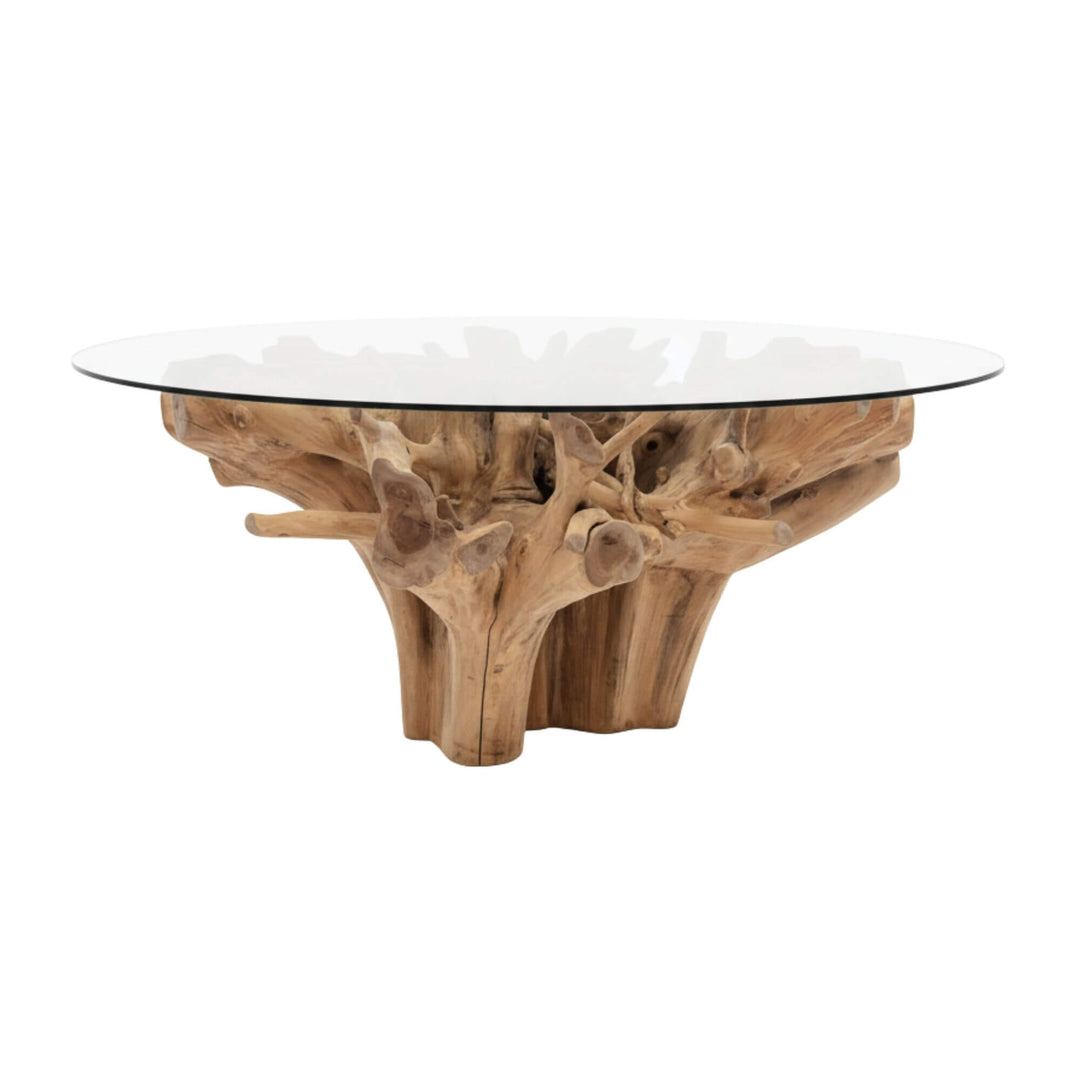 Glass-top Mur teak root dining table with natural wood base on a white background